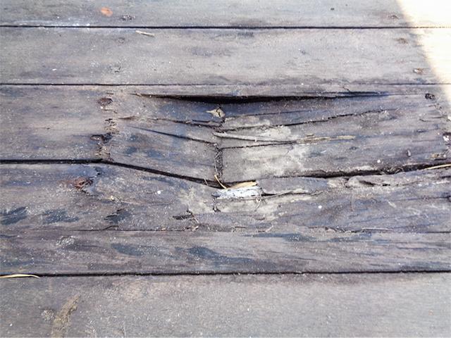 image11